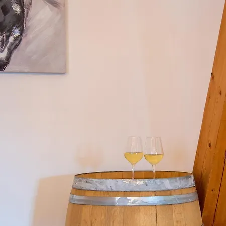 Biohof Jorgenbauer - Bergzeit Daire *